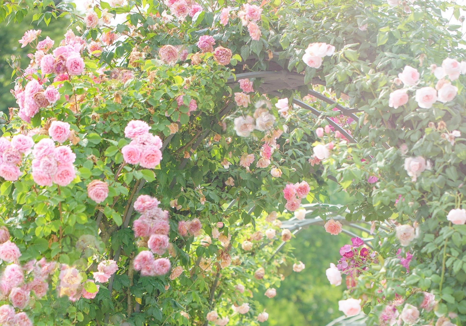 img_6072.jpg